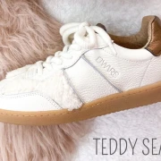 Sneaker-Teddy