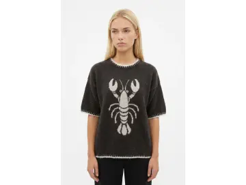 Pullover-Hummer