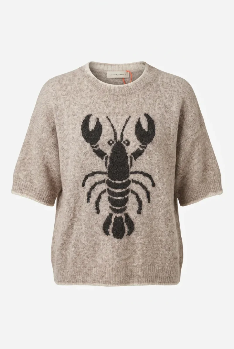 Pullover-Hummer