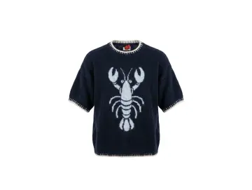 Pullover-Hummer
