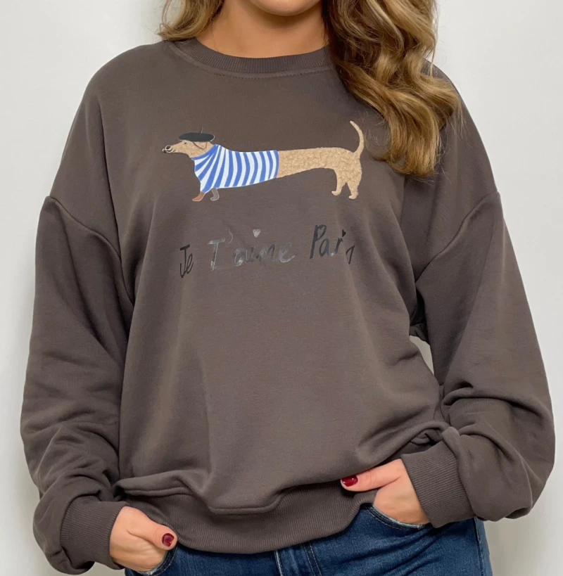 Sweater-Dackel
